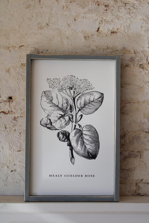 Flower Market Collection- Botanicals Sign