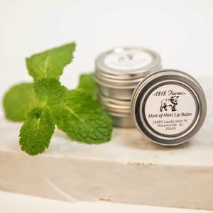 Hint of Mint Lip Balm